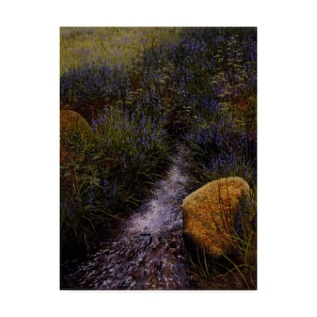 Bill Makinson 'Sparkling Water' Canvas Art,24x32